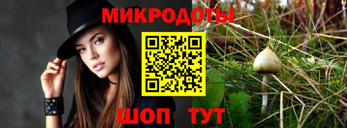 Галлюциногенные грибы GOLDEN TEACHER Новоалександровск