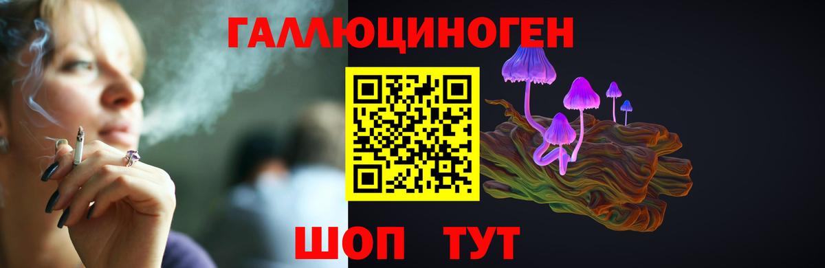 Новоалександровск  Галлюциногенные грибы Cubensis  Вход с VPN 